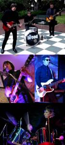 The Breed - Promo Mosaic